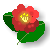 i208�e�t