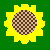 i257