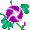 i558