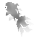 i592