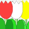 p005