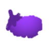 y004